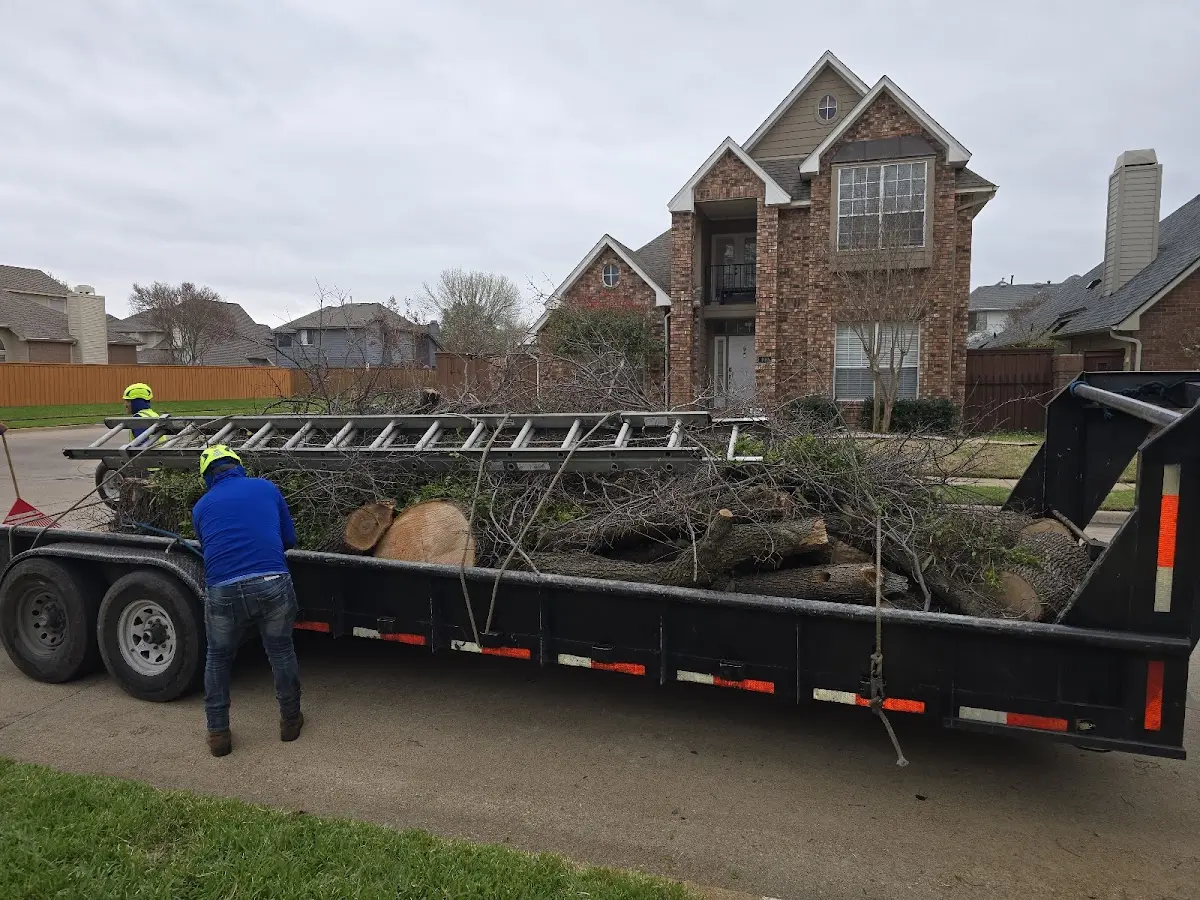 Expert Tree Removal with proper safety equipment in North Tazewell